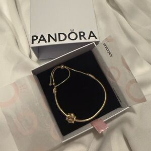 Pandora bracelet